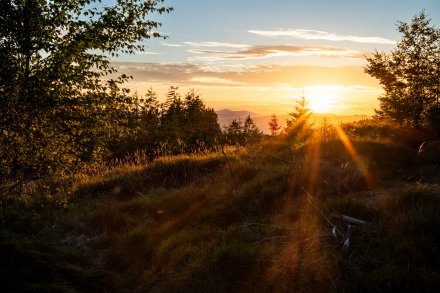 Czyste Beskidy Festiwal 2025
